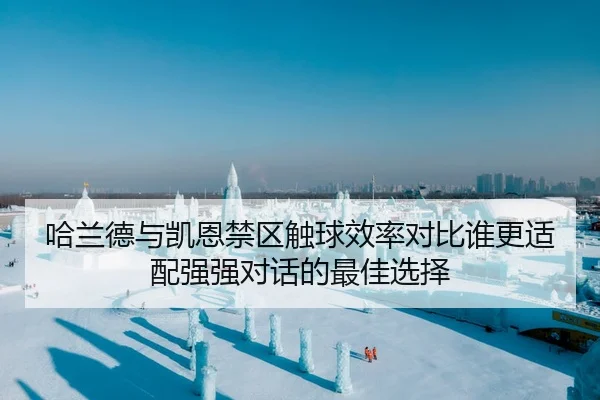 哈兰德与凯恩禁区触球效率对比谁更适配强强对话的最佳选择