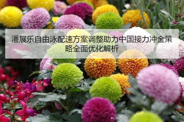 潘展乐自由泳配速方案调整助力中国接力冲金策略全面优化解析